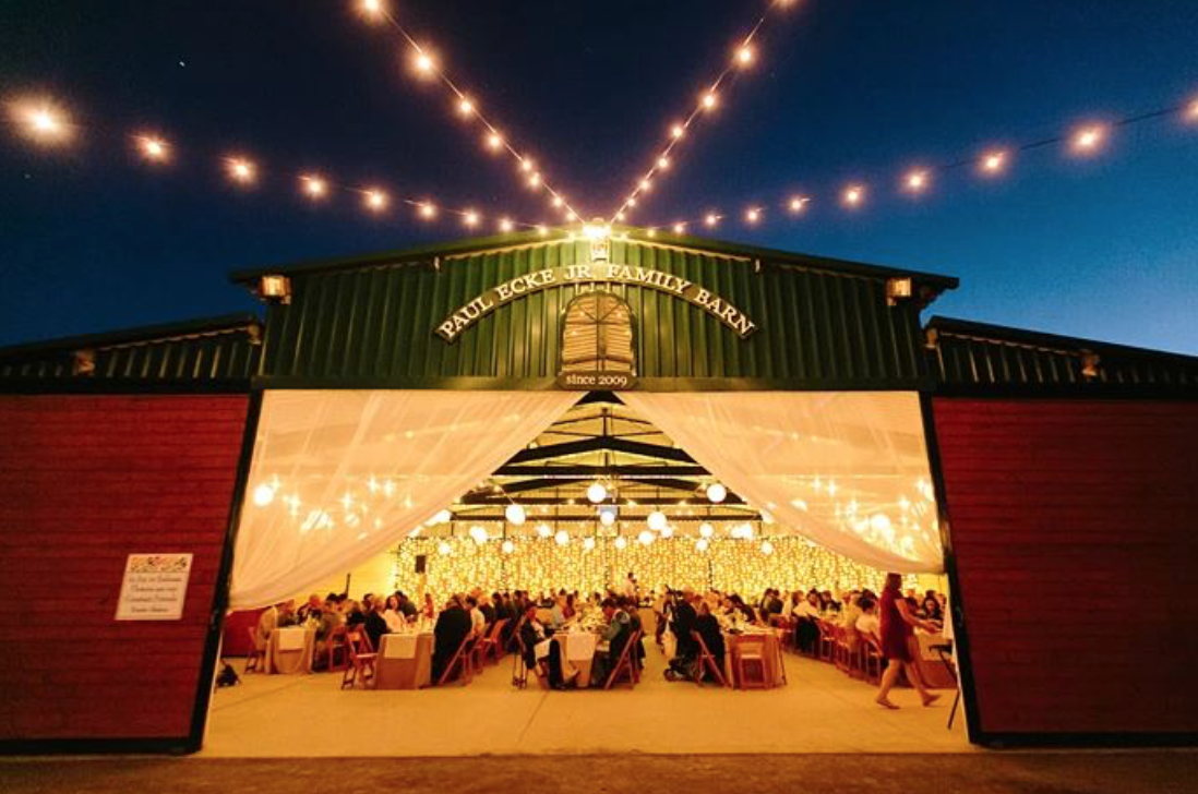 people are eating in a bright lighting at paul ecke jr. family barn