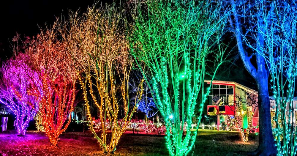 tree-lighting-outside